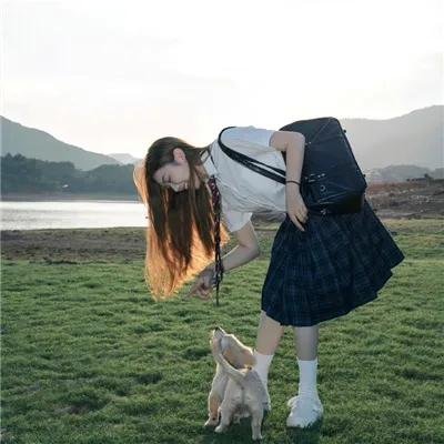 樱花盛开